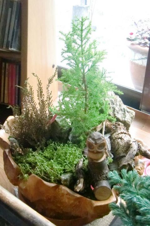 2012-12-03 12.02.57.jpg